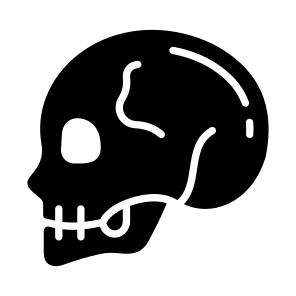 Skull, Cranium, Skullcap, Head, Bone icon