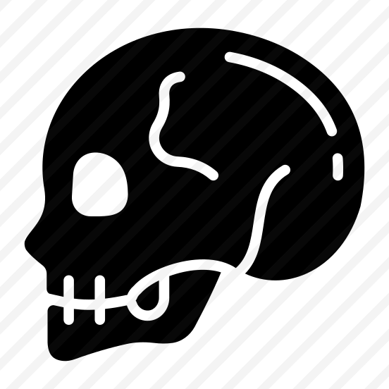 Skull, Cranium, Skullcap, Head, Bone preview