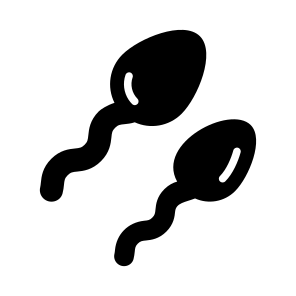 Sperms, Gametes, Cells, Reproduction, Anatomy icon