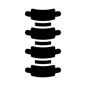 Spine, Backbone, Bones, Vertebral, Anatomy icon