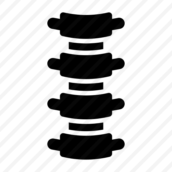 Spine, Backbone, Bones, Vertebral, Anatomy preview