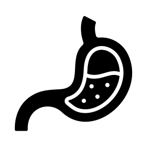 Stomach, Digestion, Gastric, Abdomen, Organ icon