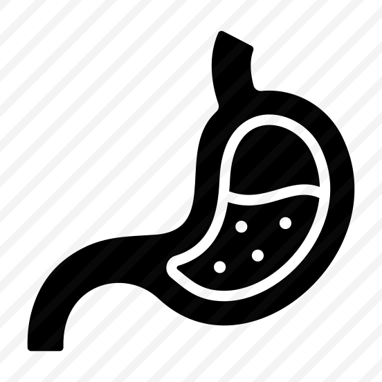 Stomach, Digestion, Gastric, Abdomen, Organ preview