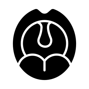 Tonsils, Throat, Tongue, Mouth, Oral icon