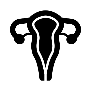 Uterus, Reproductive, Gestation, Organ, Anatomy icon