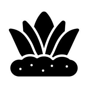 Agave, Aloe, Plant, Nature, Growing icon