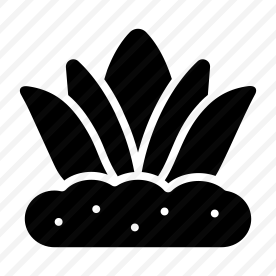 Agave, Aloe, Plant, Nature, Growing preview