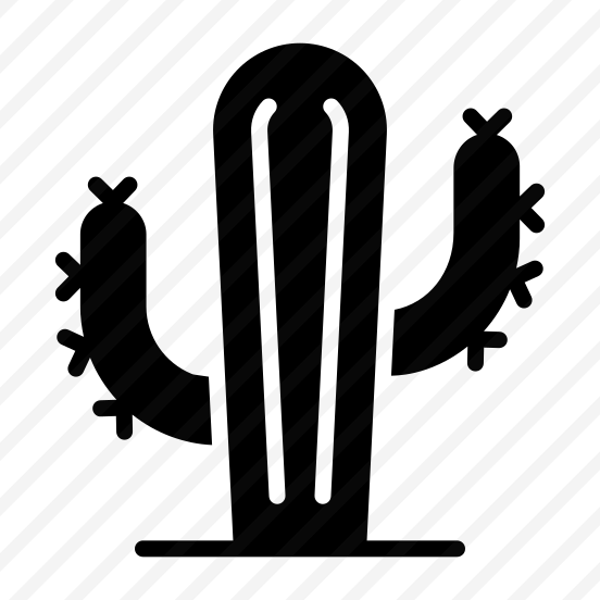 Cactus, Cacti, Succulent, Prickly, Plant preview