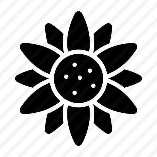 Daisy, Flower, Floral, Blooming, Petals preview