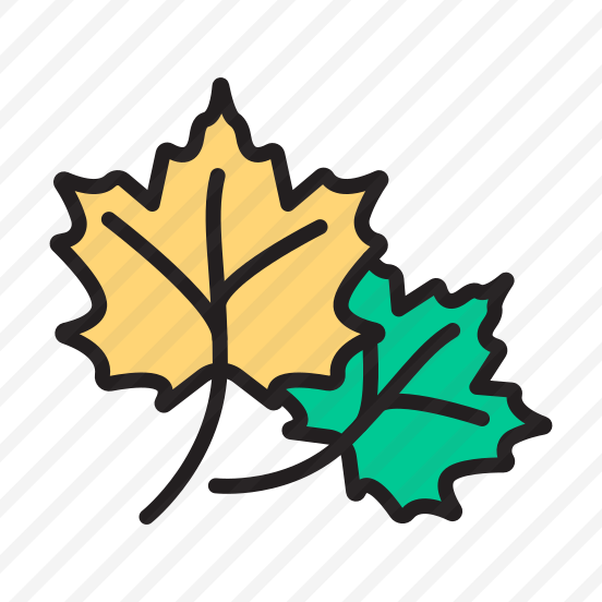 Autumn, Leaves, Fall, Seasonal, Weather preview