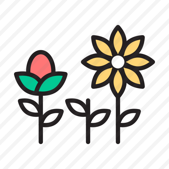 Spring, Flowers, Nature, Summer, Bloom preview