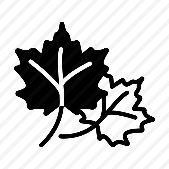 Autumn, Leaves, Fall, Seasonal, Weather preview