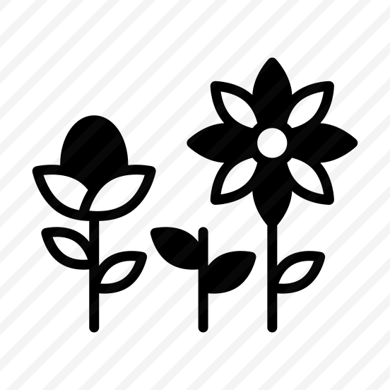 Spring, Flowers, Nature, Summer, Bloom preview