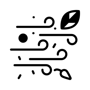 Windy, Weather, Forecast, Breeze, Storm icon