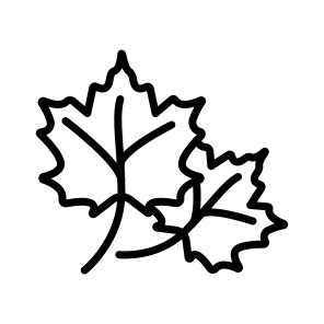 Autumn, Leaves, Fall, Seasonal, Weather icon