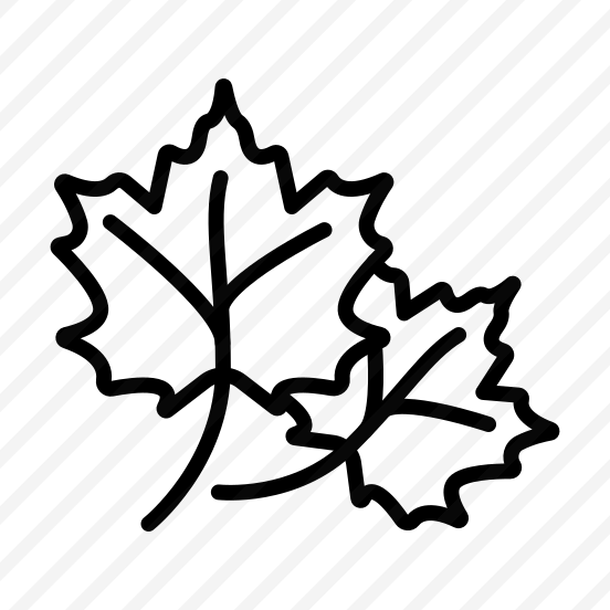 Autumn, Leaves, Fall, Seasonal, Weather preview