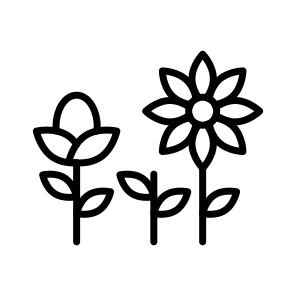 Spring, Flowers, Nature, Summer, Bloom icon