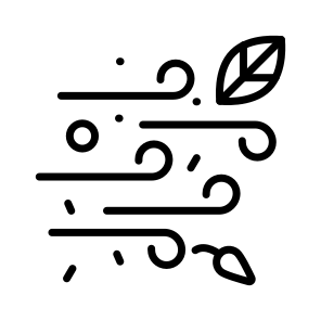 Windy, Weather, Forecast, Breeze, Storm icon