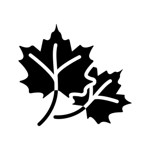 Autumn, Leaves, Fall, Seasonal, Weather icon