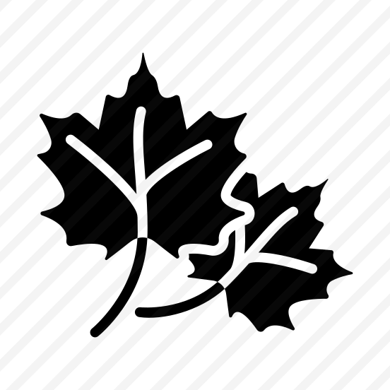 Autumn, Leaves, Fall, Seasonal, Weather preview