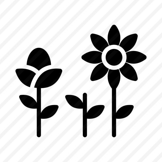 Spring, Flowers, Nature, Summer, Bloom preview