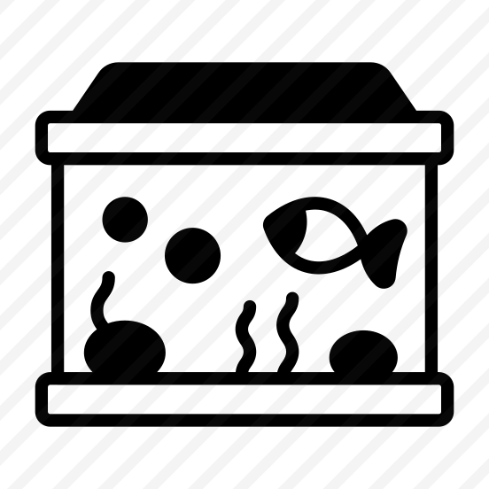 Aquarium, Seafood, Creature, Animal, Fish preview