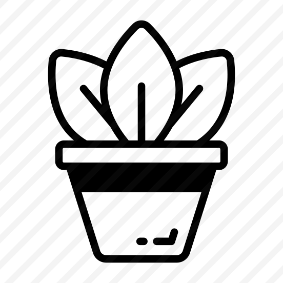 Potted, Plant, Houseplant, Gardening, Pot,,, preview