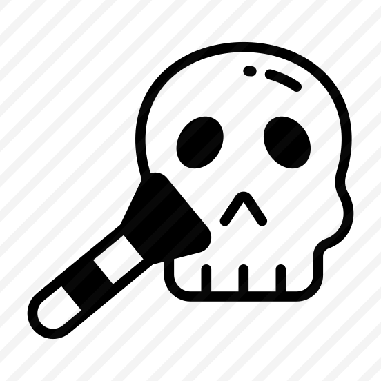 Skull, Skullcap, Cranium, Dead, Anatomy preview