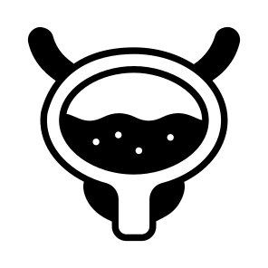 Bladder, Anatomy, Biology, Organ, Science icon