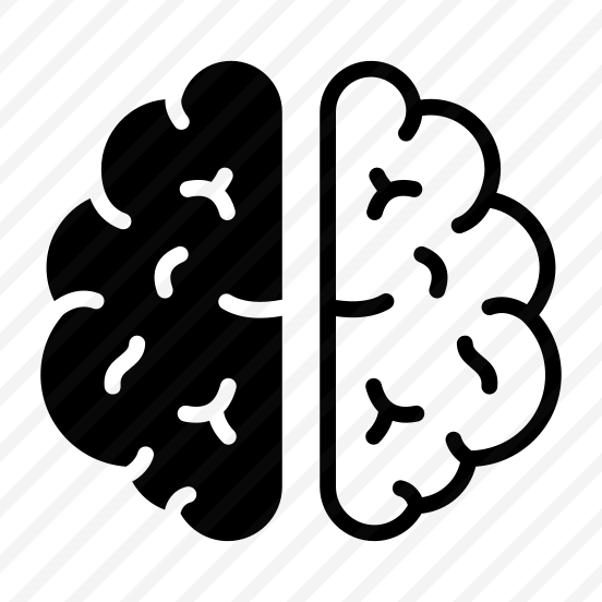 Brain, Mind, Cerebrum, Neurology, Organ preview
