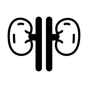 Kidneys, Nephrons, Renal, Organ, Urinary icon
