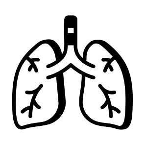 Lungs, Respiratory, Breathing, Organ, Anatomy icon