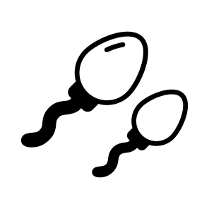Spermatozoa, Sperms, Cells, Reproductive, Gametes icon