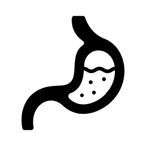 Stomach, Digestive, Organ, Anatomy, Biology icon
