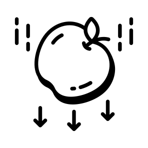 Gravity, Experiment, Force, Apple, Physics icon