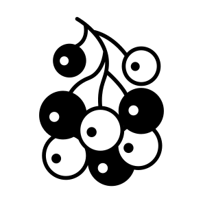 Berries, Blueberries, Grapes, Fruit, Nature icon