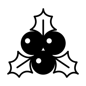 Christmas, Berries, Holy, Mistletoe, Acai icon