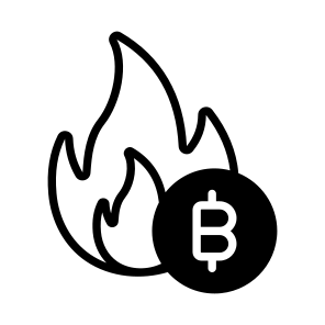 Burn, Loss, Bitcoin, Crypto, Cryptocurrency icon