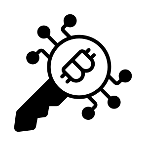 Key, Digital, Asset, Bitcoin, Crypto icon
