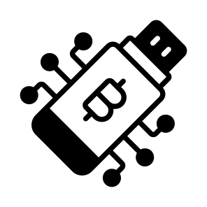 Usb, Pendrive, Storage, Memory, Bitcoin icon