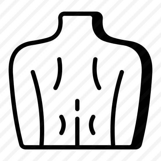Back, Spine, Muscles, Body, Posture preview