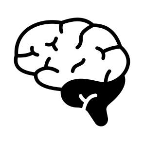Brain, Cortex, Brainstem, Neuron, Mind icon