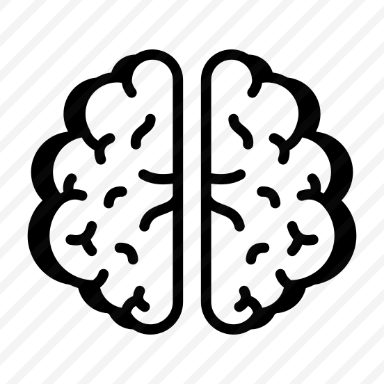 Brain, Cortex, Neuron, Mind, Organ preview