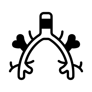 Bronchus, Bronchi, Respiration, Breathing, Organ icon