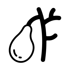 Duct, Gallbladder, Organ, Bile, Anatomy icon