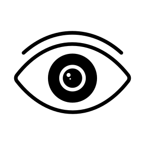 Eye, Vision, Retina, Iris, Pupil icon