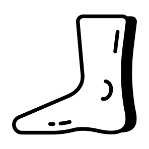 Foot, Ankle, Heel, Toes, Anatomy icon