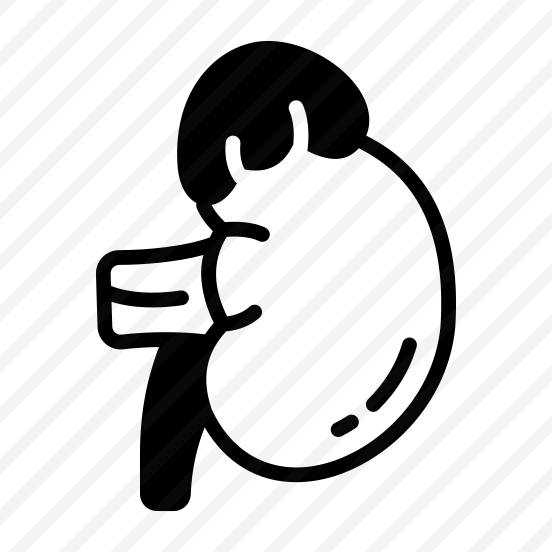 Gland, Kidney, Renal, Urinary, Excretion preview