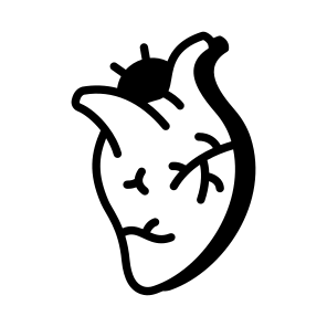 Heart, Cardiac, Organ, Circulation, Anatomy icon