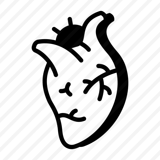 Heart, Cardiac, Organ, Circulation, Anatomy preview